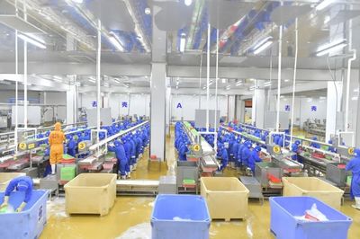 預(yù)制菜飄香！湛江企業(yè)搶抓“雙循環(huán)”萬億市場機(jī)遇